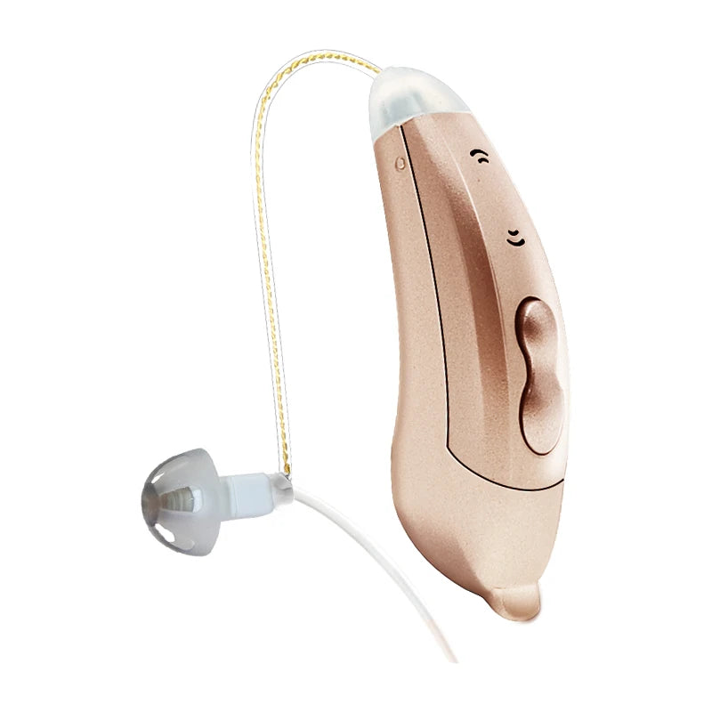 Digital Hearing Aids with Bluetooth