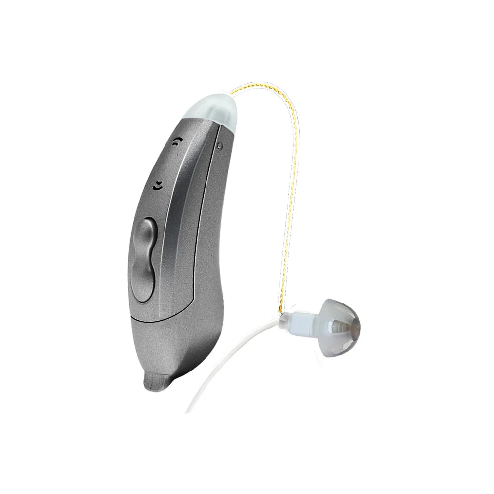 Digital Hearing Aids with Bluetooth