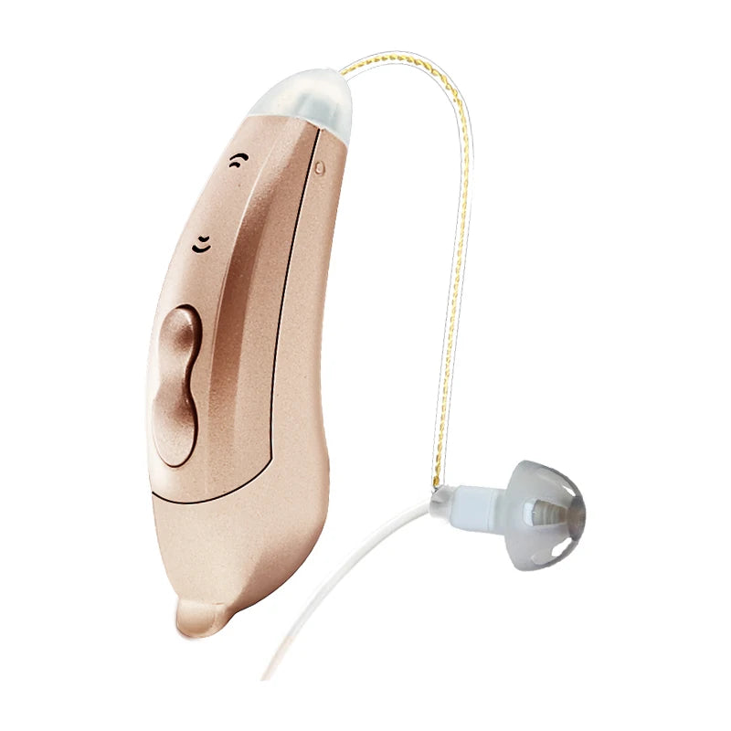Digital Hearing Aids with Bluetooth