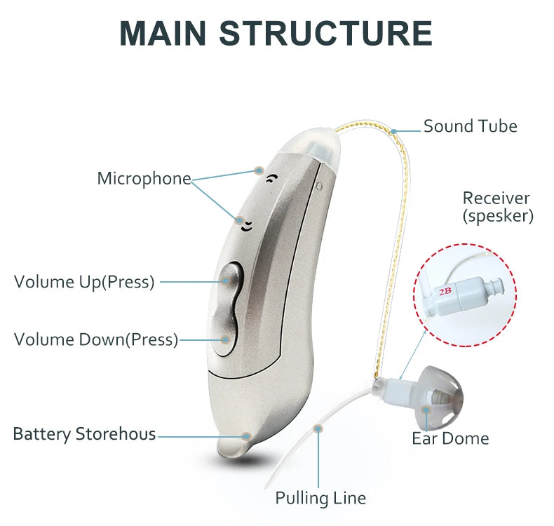 Digital Hearing Aids with Bluetooth