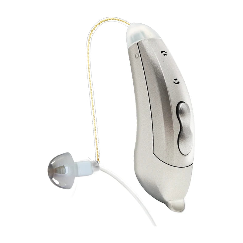 Digital Hearing Aids with Bluetooth