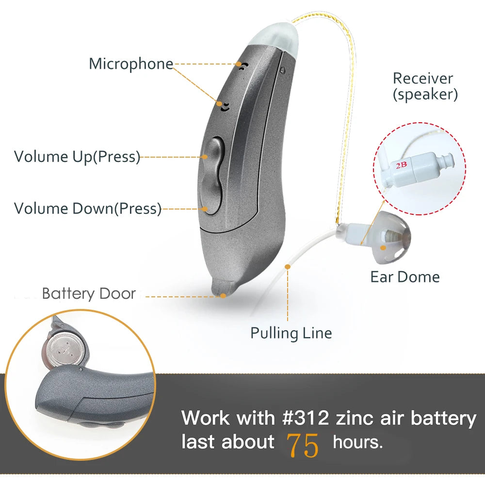 Digital Hearing Aids with Bluetooth